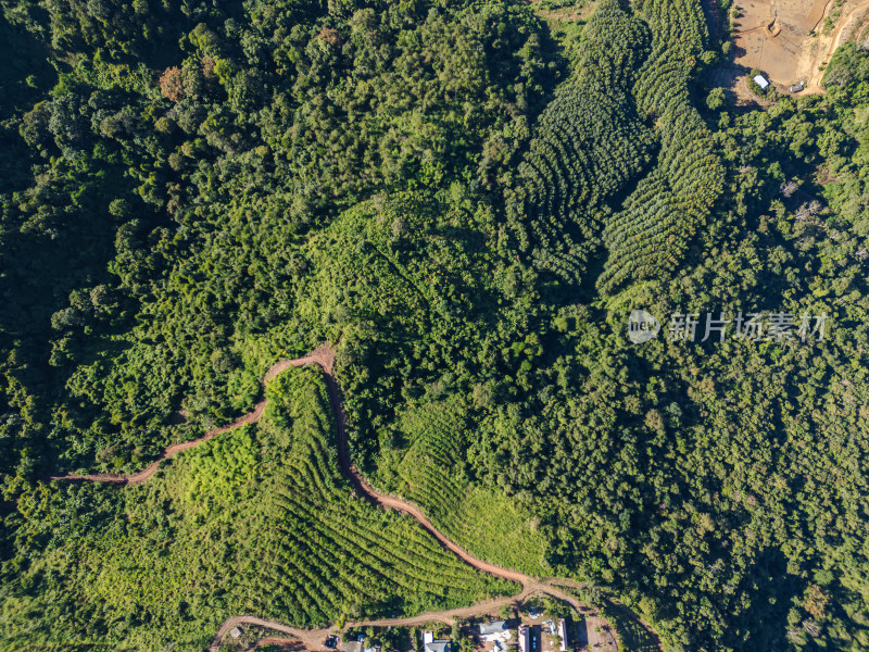 航拍绿意盎然的连绵起伏的山地景色