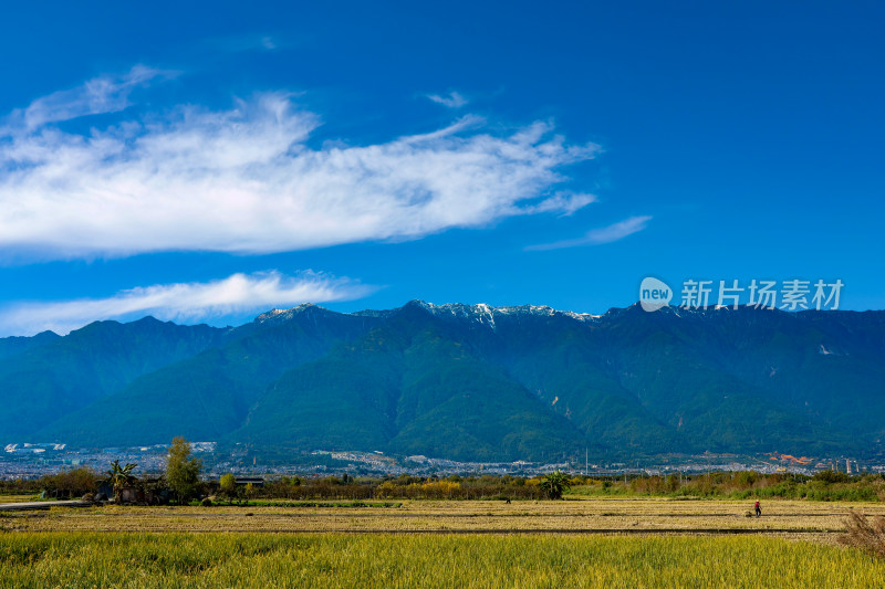 蓝天白云下的稻田乡村与巍峨山脉