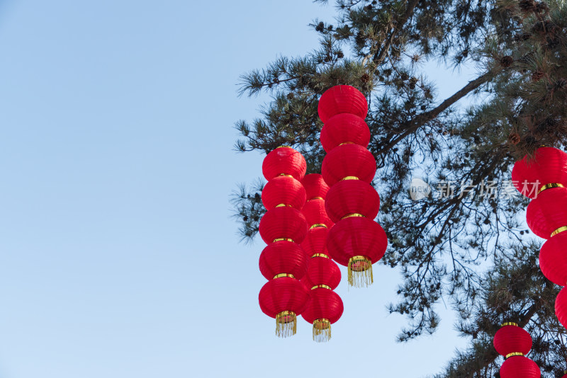 春节大红灯笼