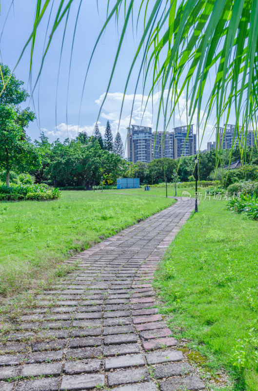 广州南沙蒲洲花园城市公园园林景观设计