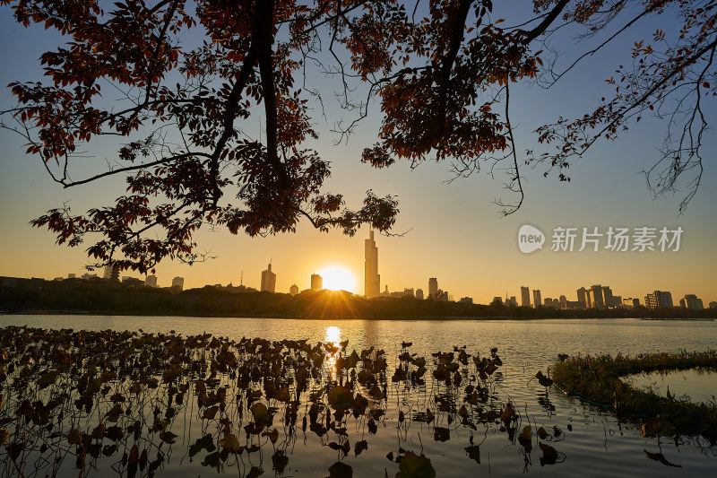 玄武湖的金色夕阳