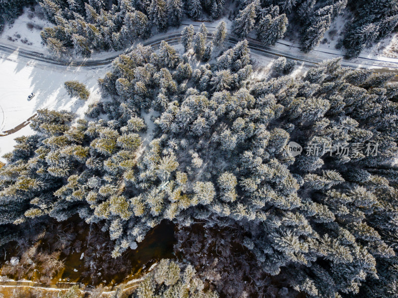 冬天的森林雪景