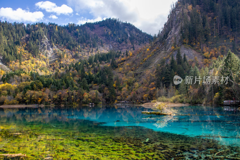 九寨沟秋色，五花海彩林层林尽染湖光山色