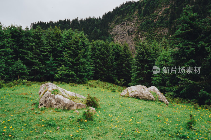 甘南藏族自治州扎尕那