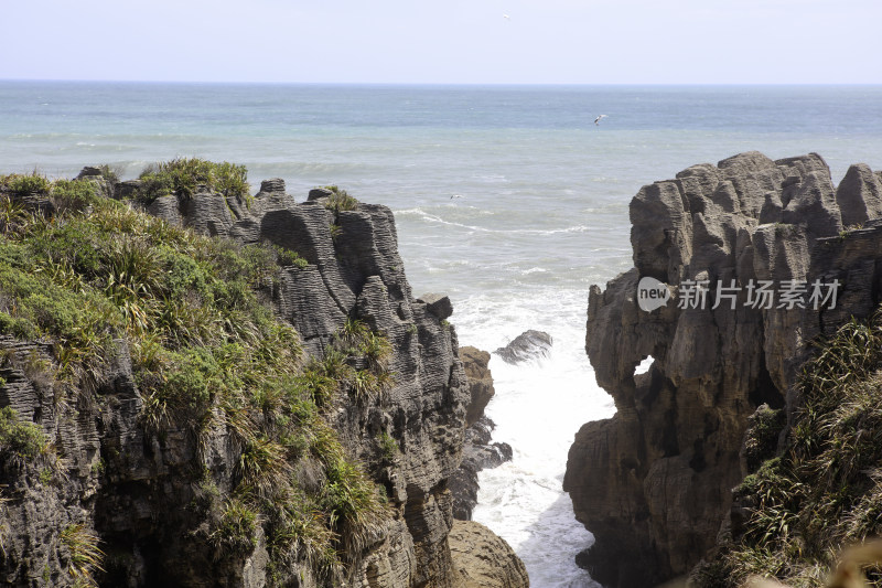 新西兰薄饼岩：南岛西海岸的地质奇迹