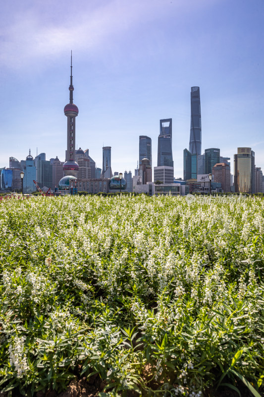 上海外滩外白渡桥陆家嘴黄浦江城市景观