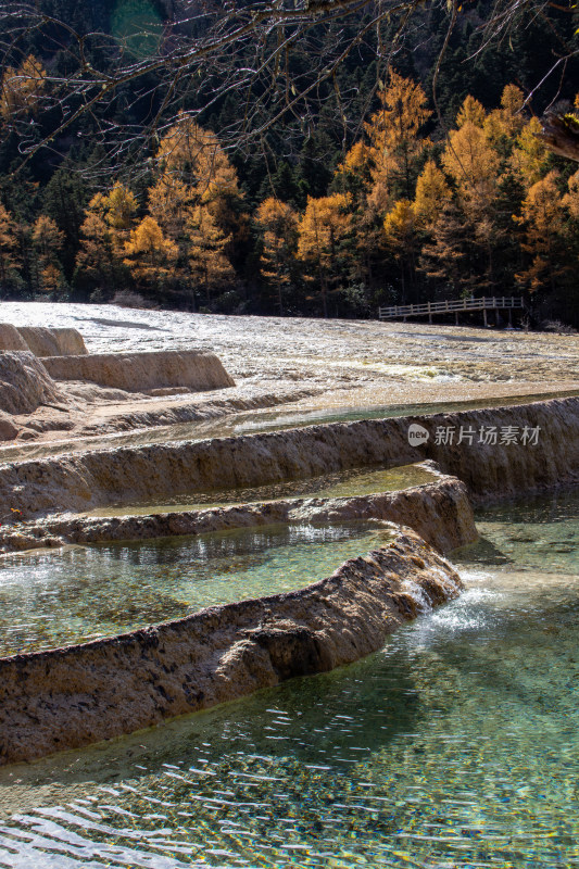 四川阿坝黄龙景区钙华彩池和秋日红杉林