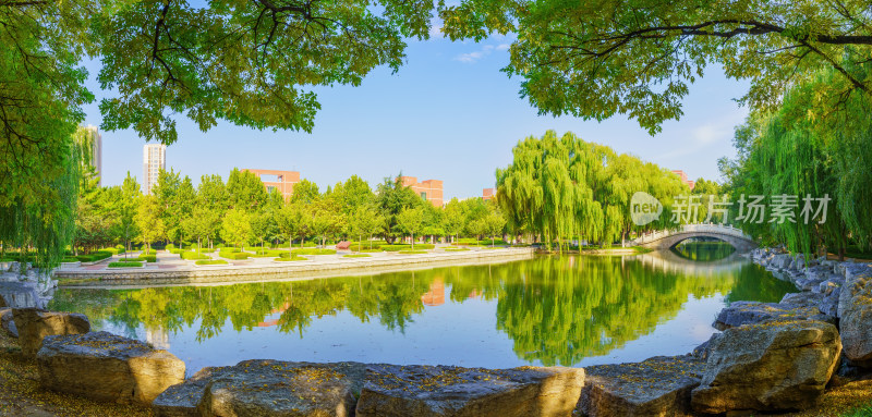 大学校园风景