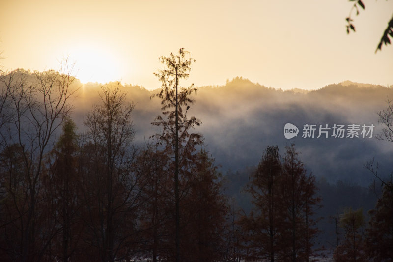 奇墅湖周边风景