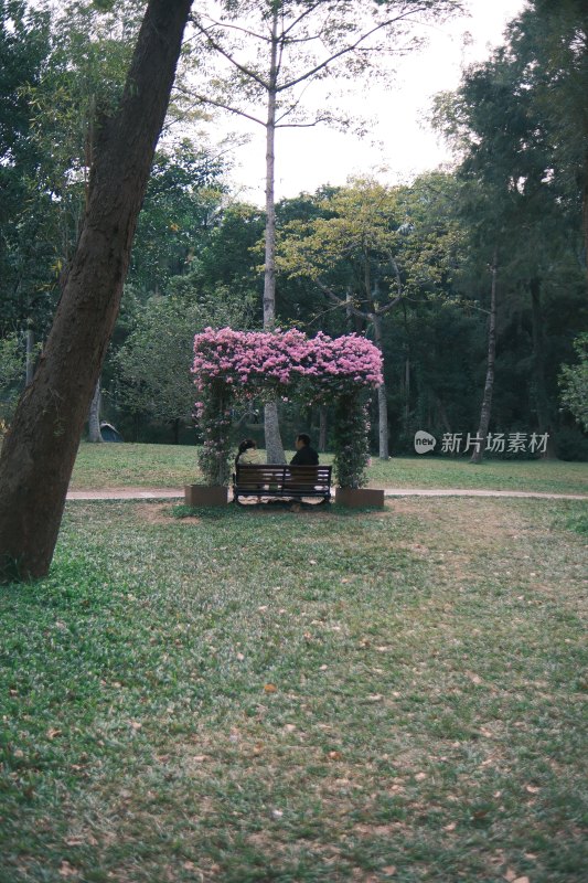 深圳莲花山公园