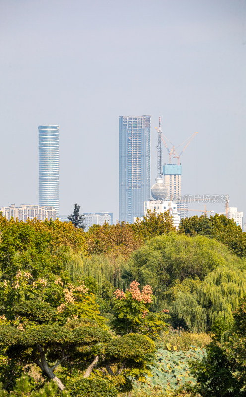 城市公园绿树与远处高楼景观