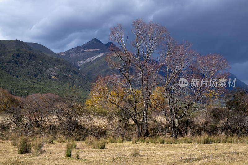 丽江冬天的风光