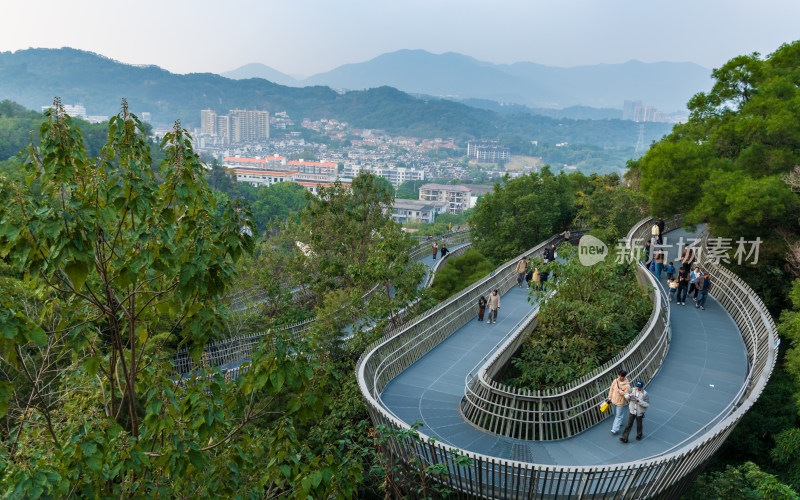 福州福道山林中蜿蜒的观景步道