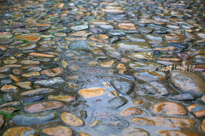 石块路上的雨水