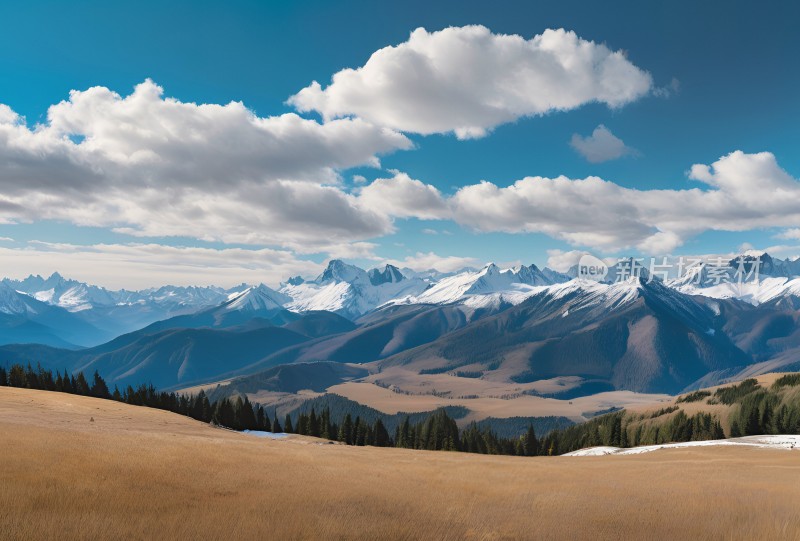 雪山高原森林风景