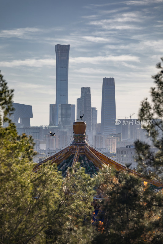 中国北京市北海公园秋色