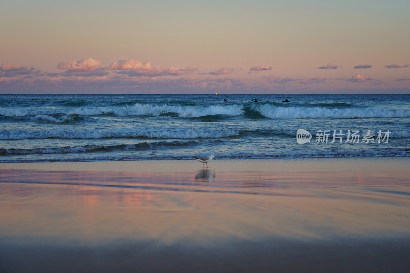 悉尼邦迪沙滩，bondi beach，日落与倒影