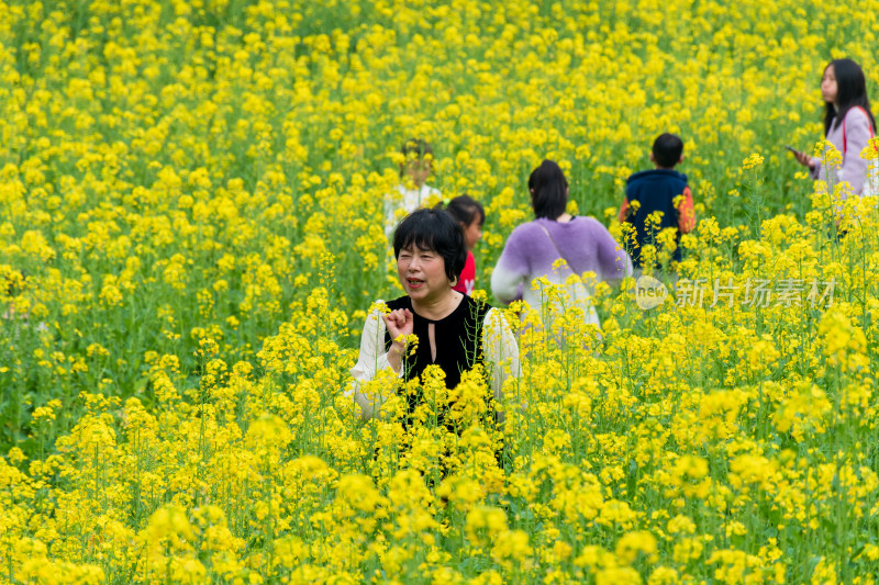 福州花海公园游客漫步观赏黄色油菜花田