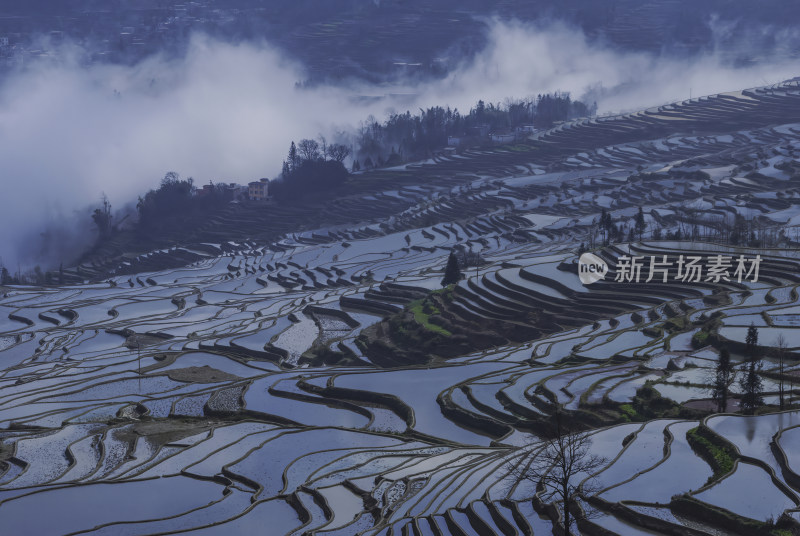 云南元阳梯田