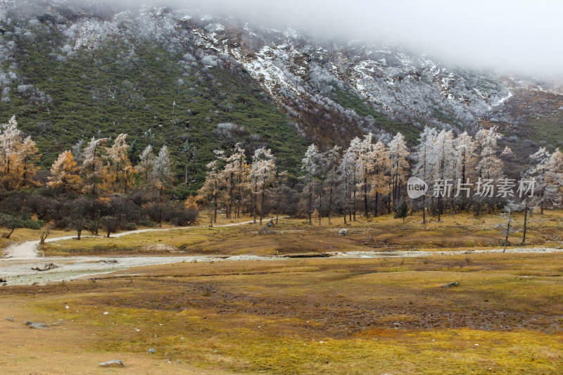 四川阿坝州毕棚沟深秋燕子岩景点