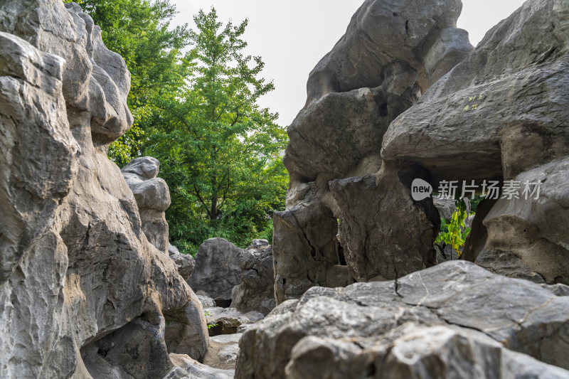 杭州萧山江寺公园古园林