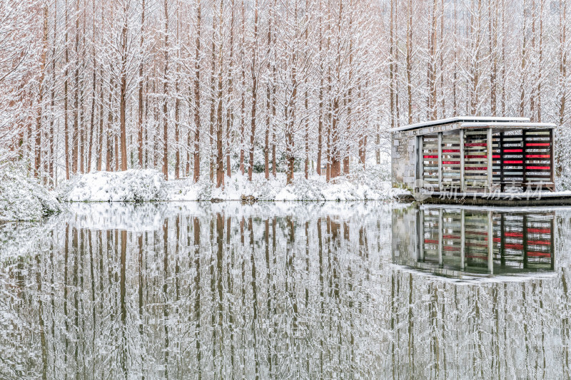 冬季湿地公园树林雪景