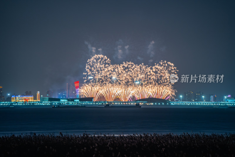 新年夜空中绽放的烟火