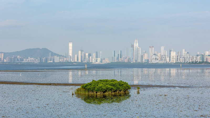 深圳湾公园