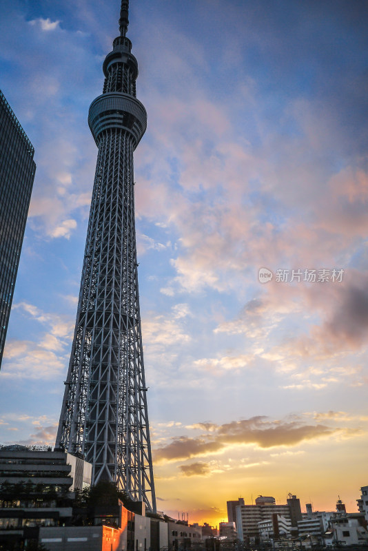 日本东京晴空塔