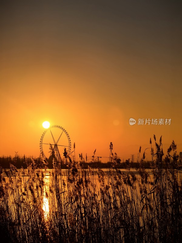 夕阳下的浪漫地标：湖畔摩天轮的金色剪影