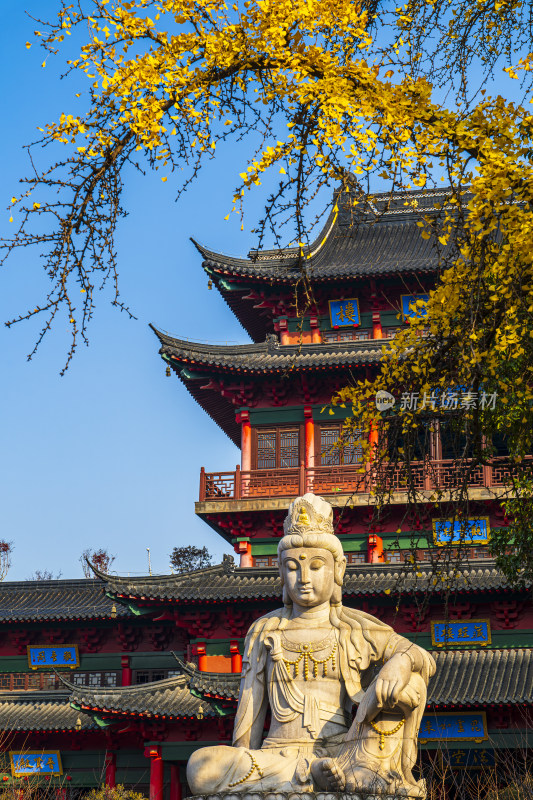 秋季南京著名寺庙毗卢寺与金色银杏树叶