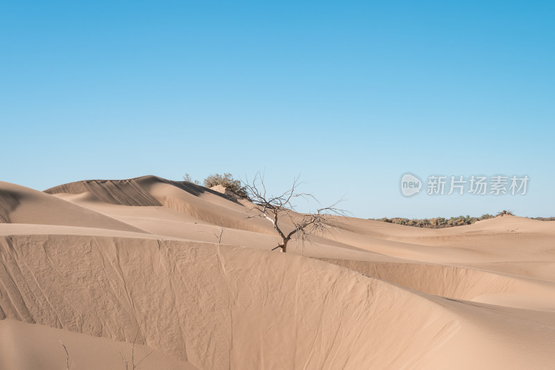 沙漠无人区荒漠黄昏荒凉戈壁