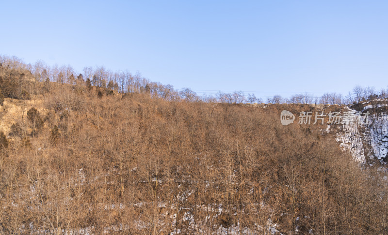 光秃山坡景象，尽显冬季萧瑟之感