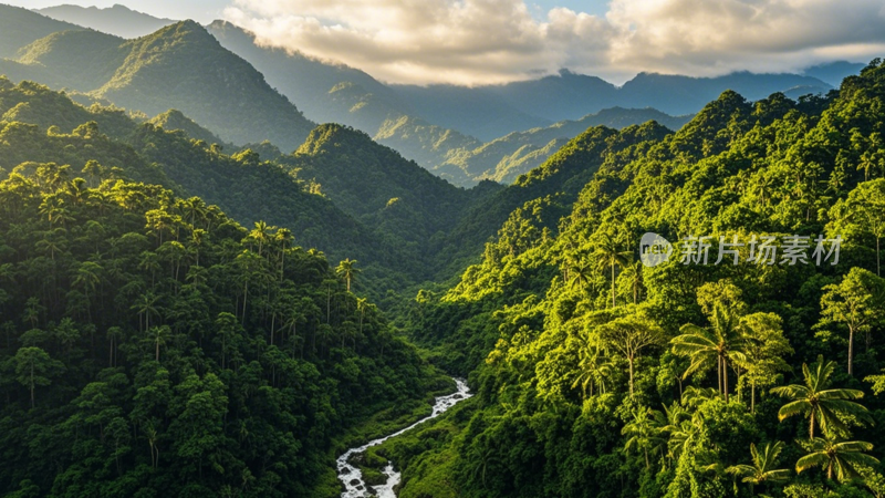 哀牢山森林山间溪流