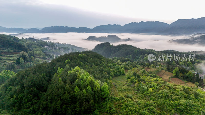 重庆酉阳：雾霾天气青山绿