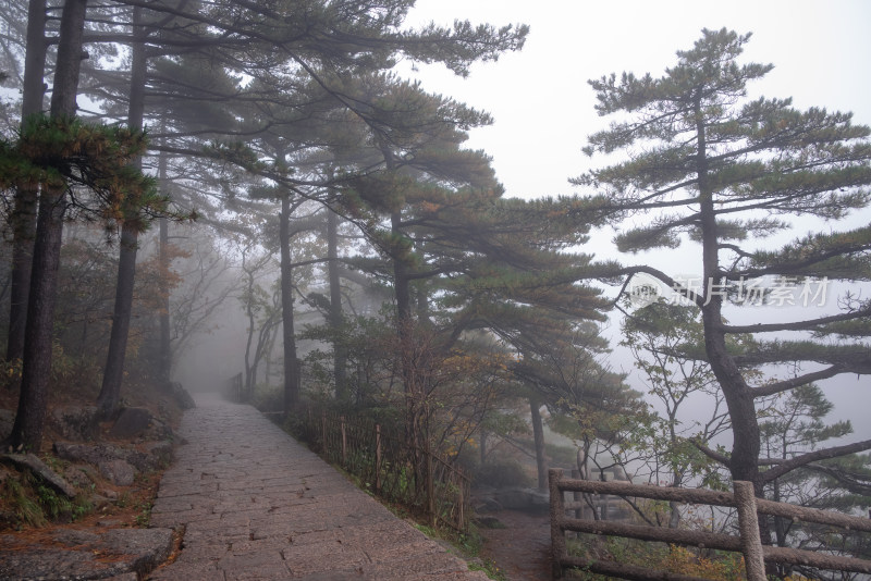 云雾下，安徽黄山风景区风光