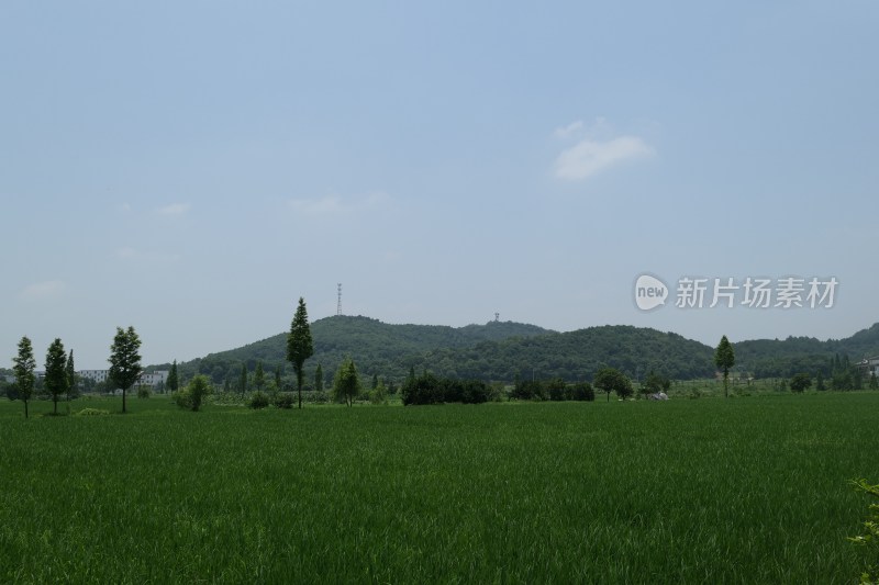 广阔田野与远处山丘风景