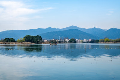 浙江湖州长田漾湿地公园春色