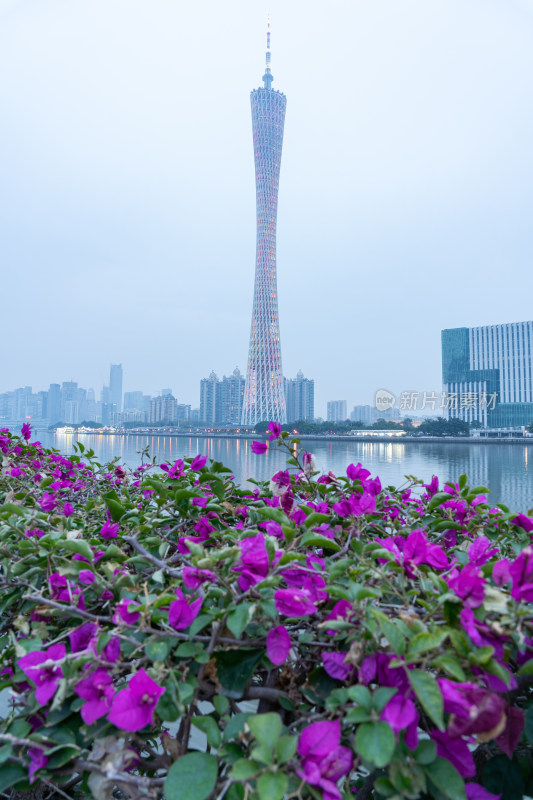 广州二沙岛珠江滨江案鲜花与广州塔