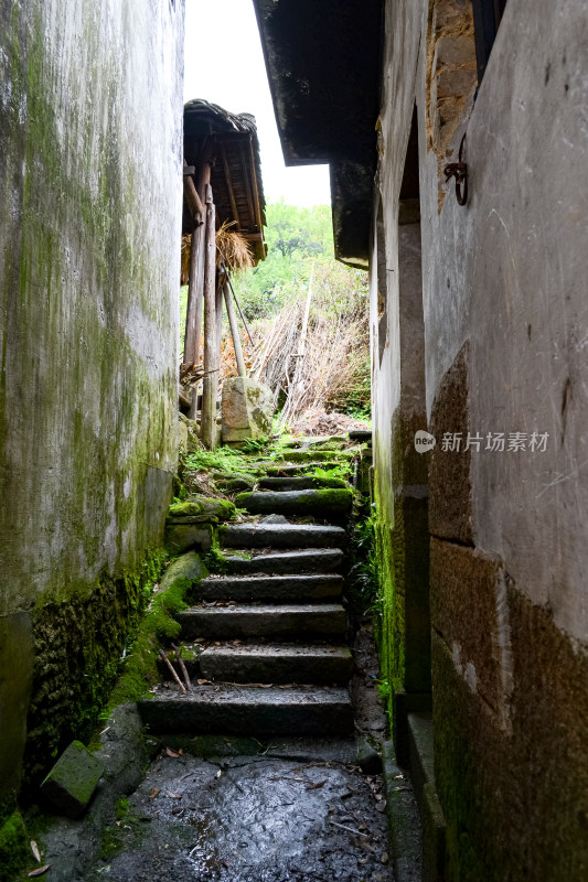 婺源风景