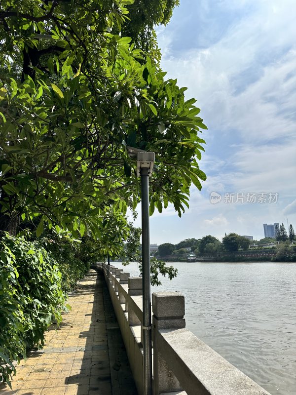 绿树成荫的河畔步道风景