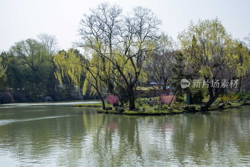 江苏省扬州市瘦西湖风景区湖岸春色