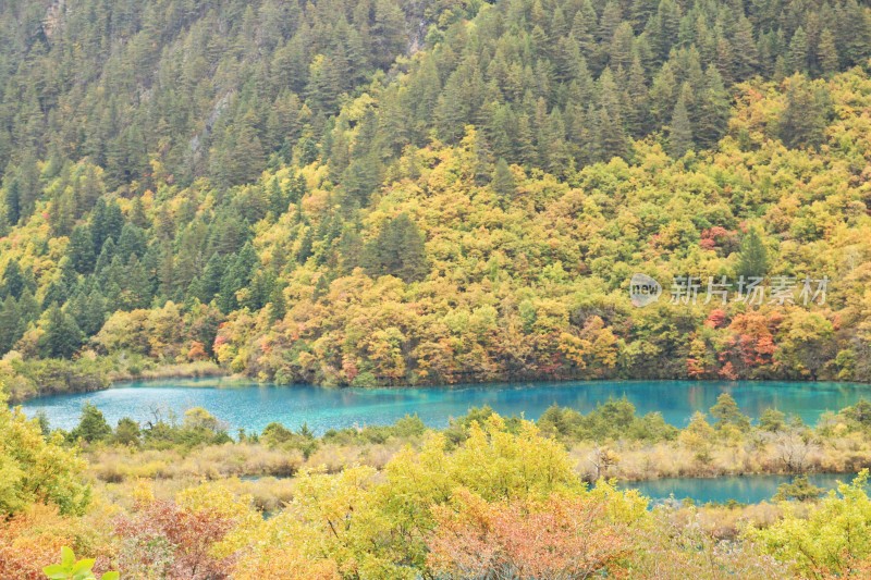 秋天九寨沟的山水