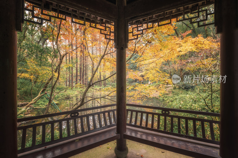 浙江杭州虎跑公园秋景