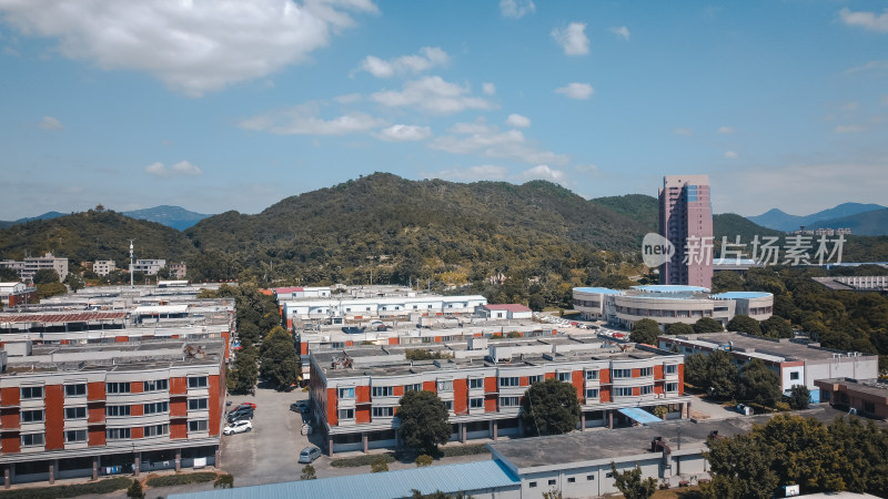 仰恩大学