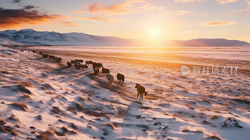 冬季唯美雪景雪山海报背景配图高清摄影图