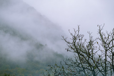 汉中留坝火烧店镇秦岭深处雨后山间的云雾