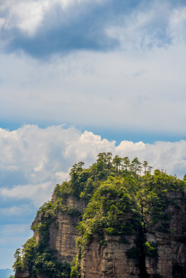 中国湖南张家界景区奇特山峰与茂密森林