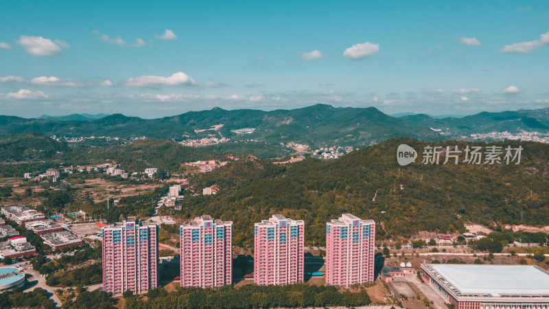 仰恩大学