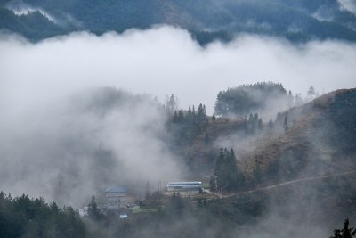 重庆酉阳：雾气中的山村田园